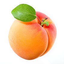 Century Farms Apricots