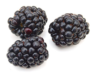 Century's Blackberries