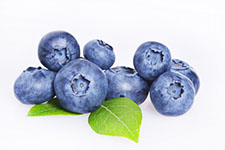 Century Farms Blueberries
