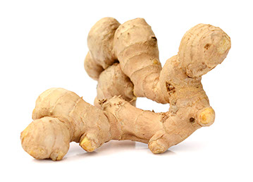 Century Farms' Ginger Root
