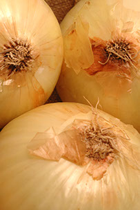 Century Farms' Vidalia Onions