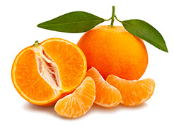 Century Farms' Tangerines
