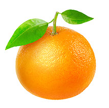 Century Farms' Tangerine